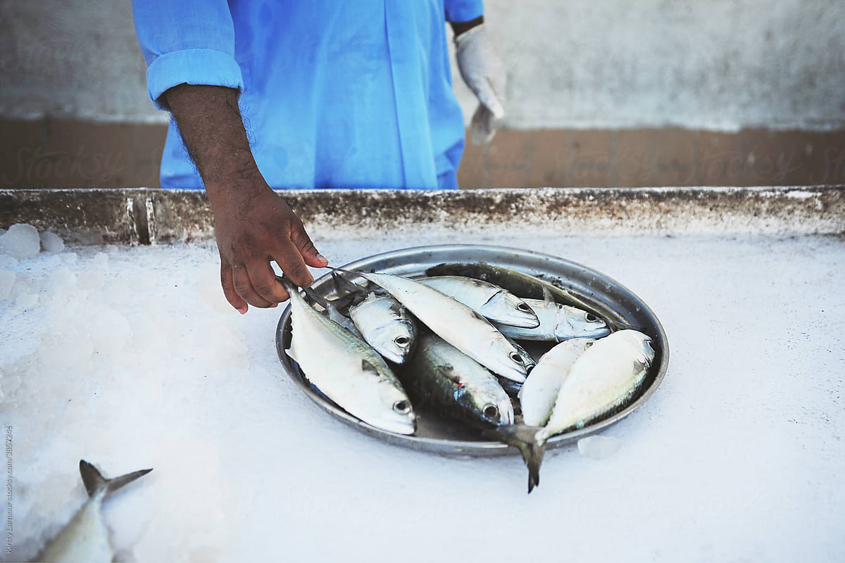 Fish Souk in UAE
