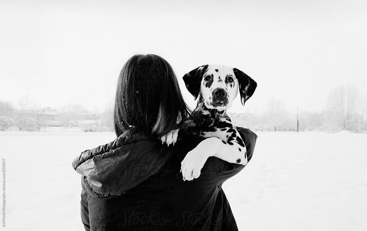 Anonynous female model holding dalmatain dog during winter