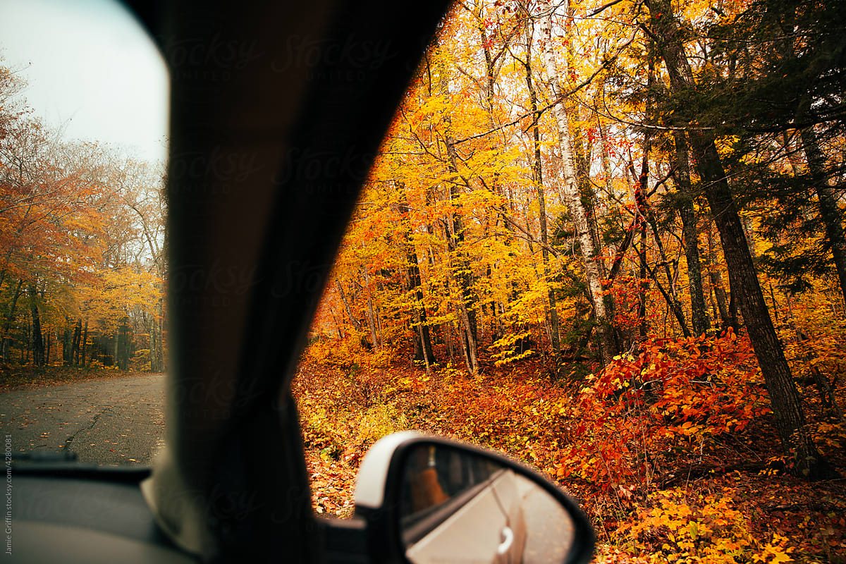Driving in Autumn