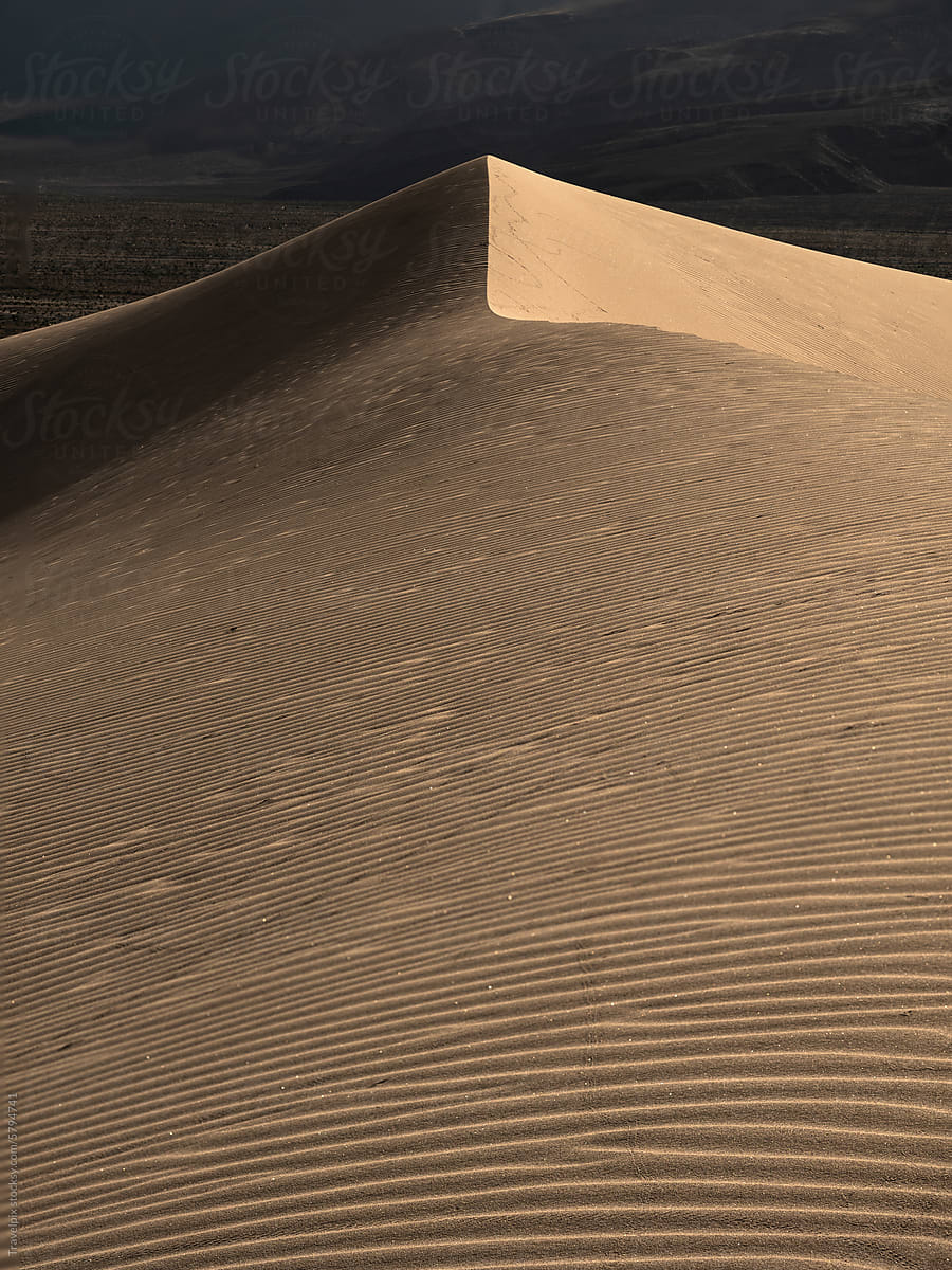 Line and Ripple.  Sand Dunes. Death Valley. California (vt)