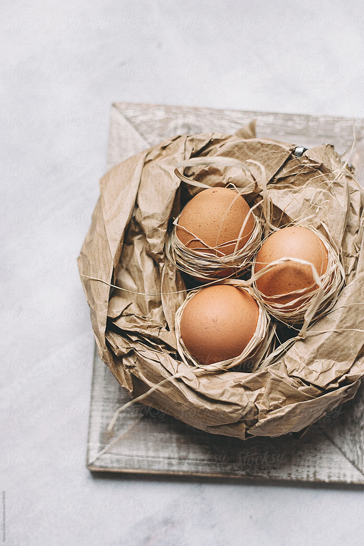 Eggs in a paper nest
