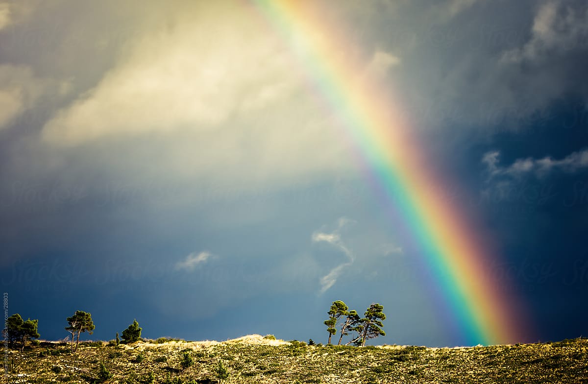 Rainbow on the Horizon with Trees