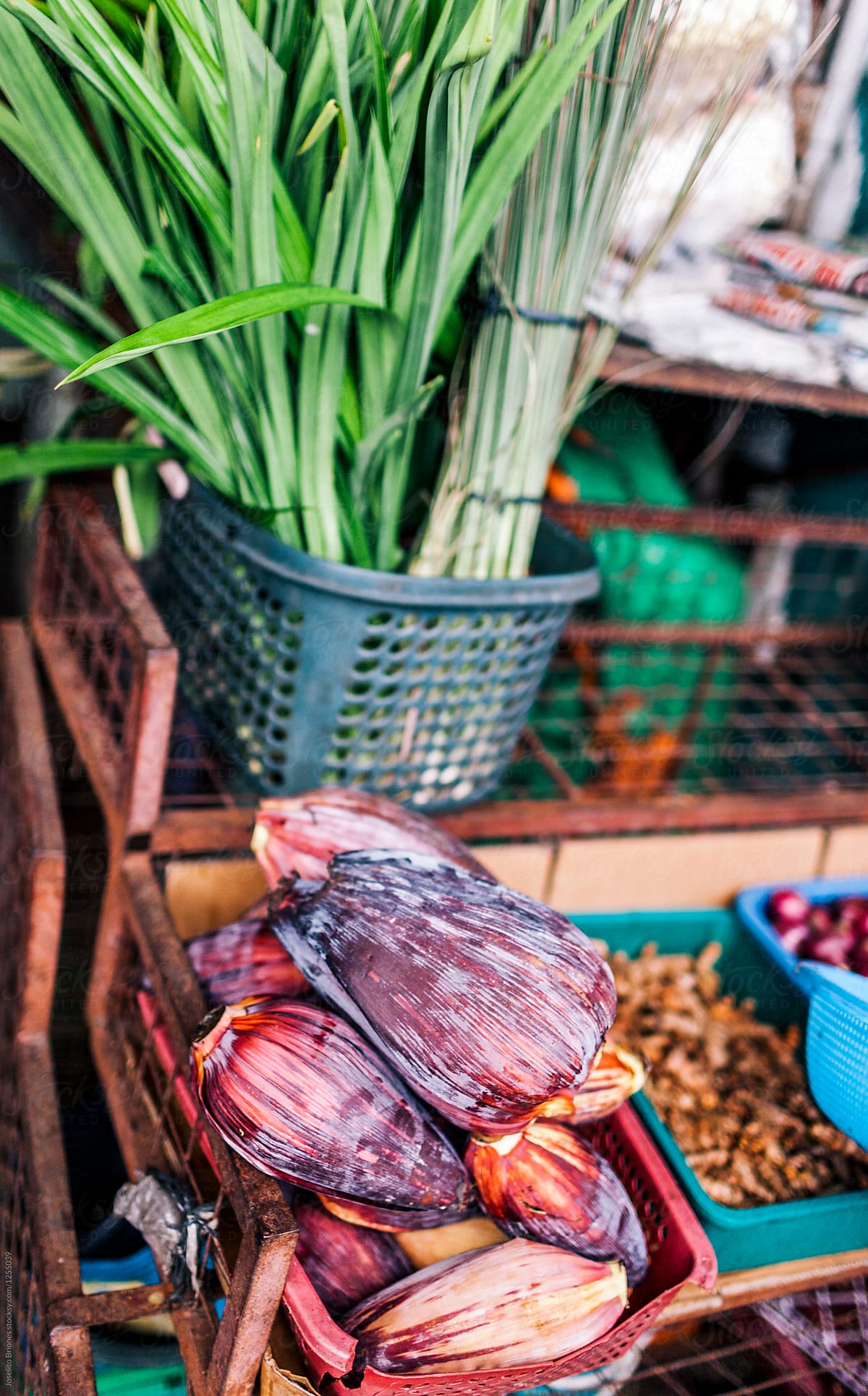 Pandan Leaves and Banana Flowers in Vegetable Stand in Public Market