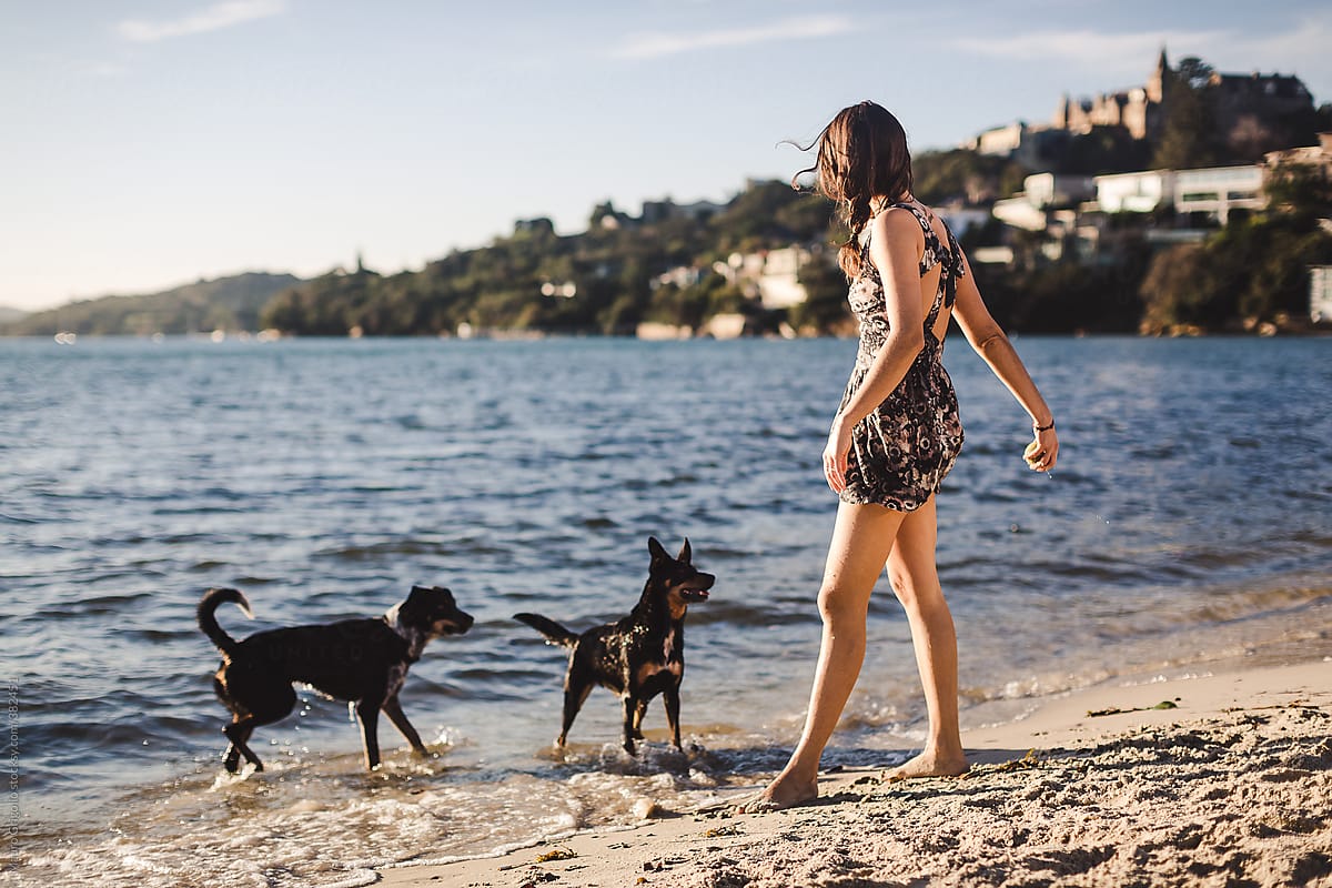 Girl at the beach with two dogs
