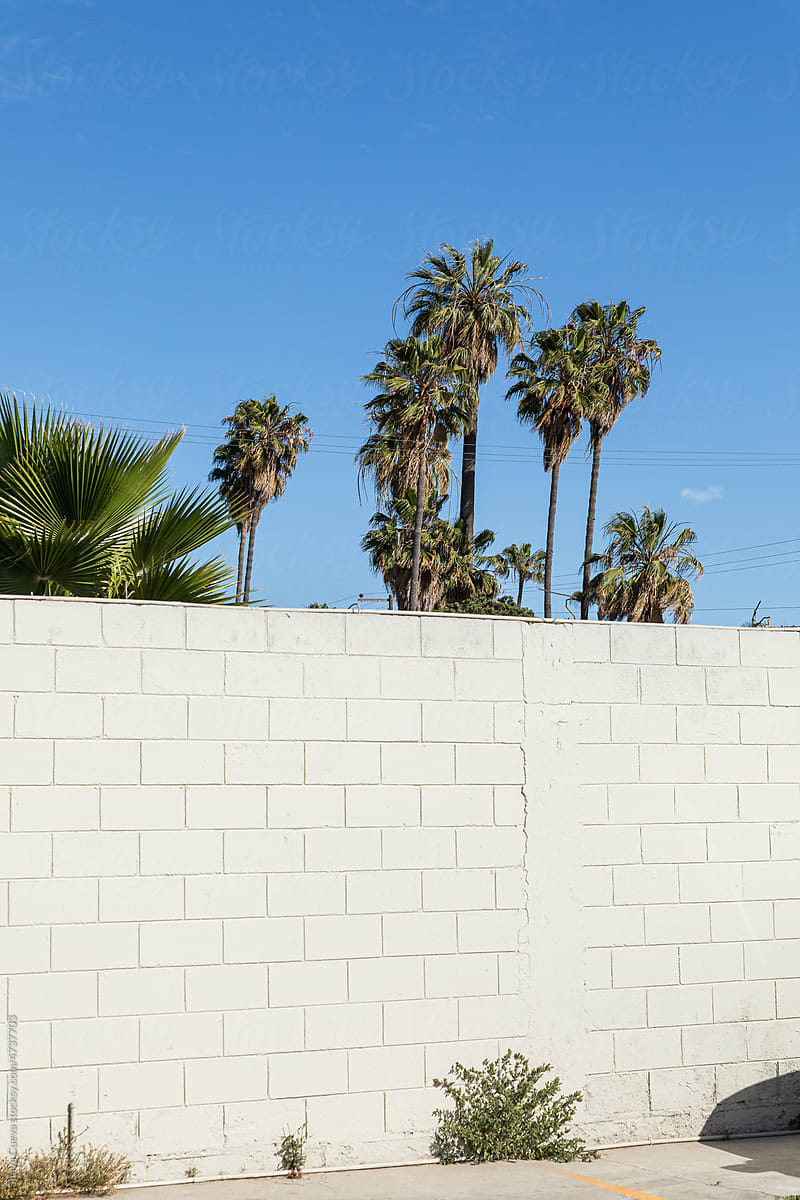 wall in a parking lot with palm trees in the background