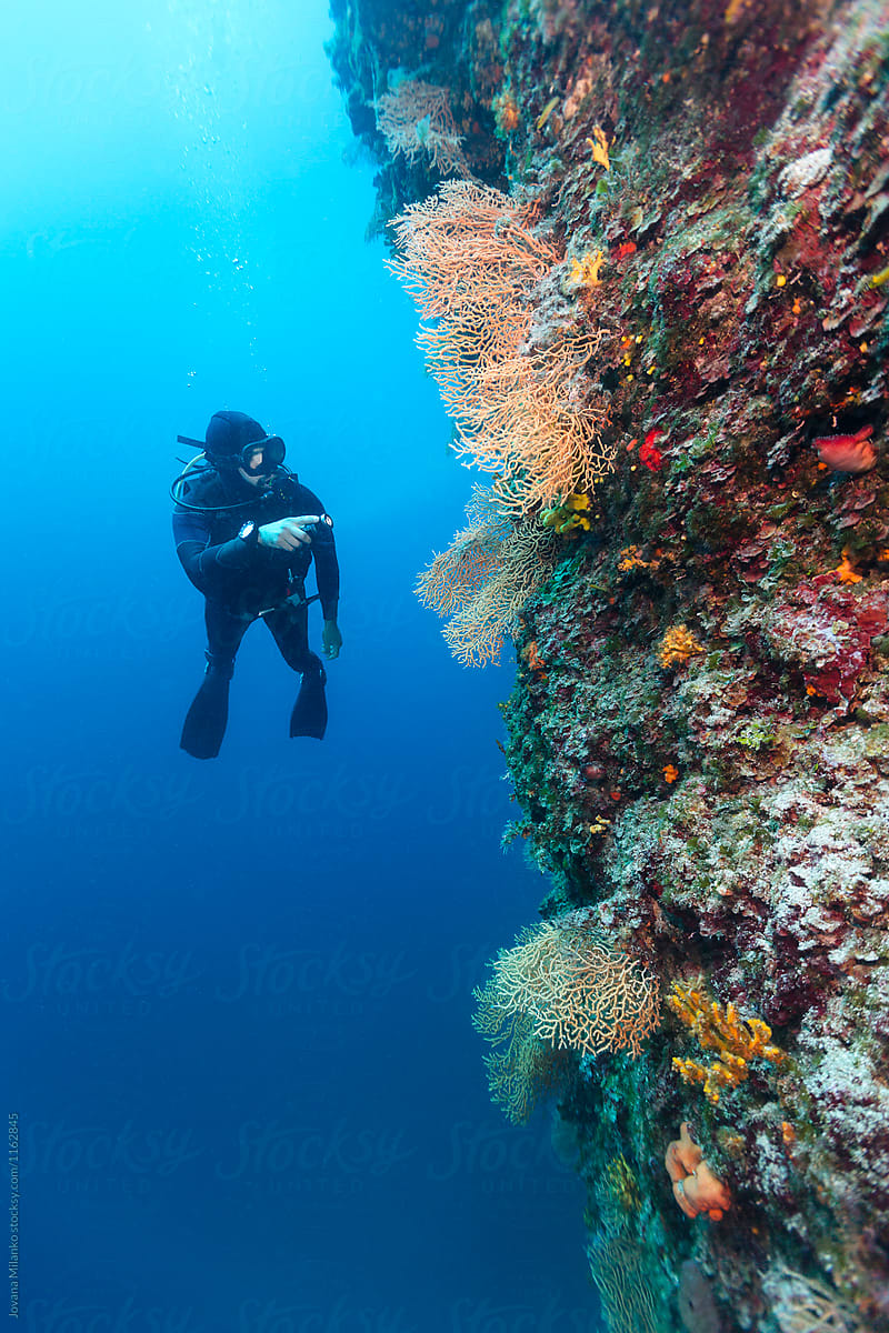 Mediterranean Sea Underwater by Stocksy Contributor Jovana