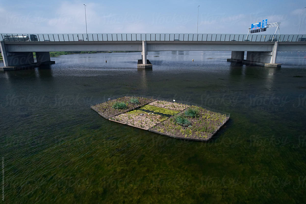 Artificial island for plant and animal refuge, Netherlands, Europe