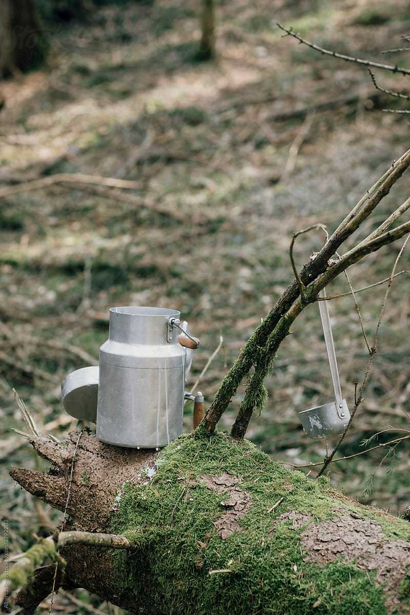 Milk Container In The Woods