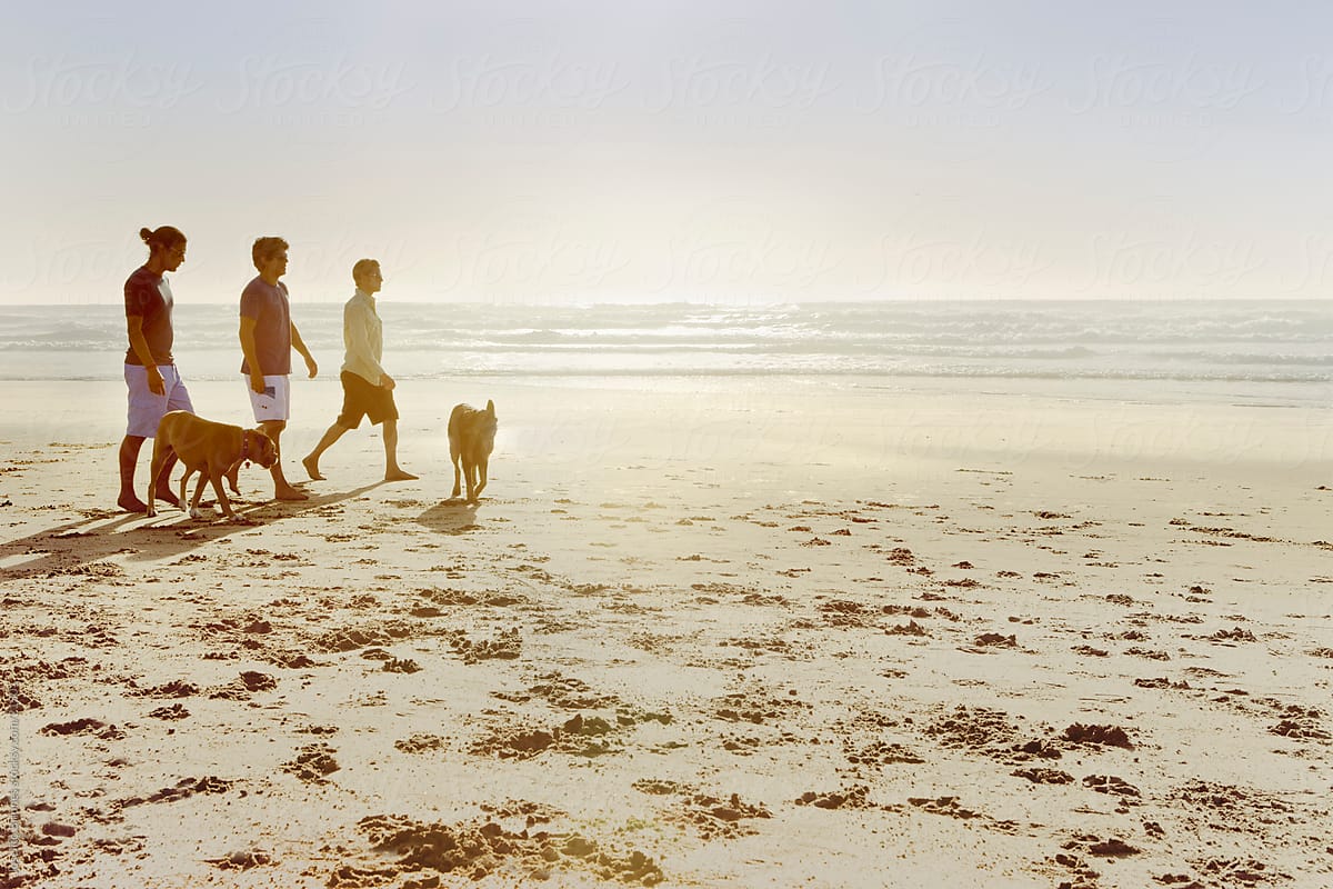 Men Walking on a Beach with their Pet Dogs
