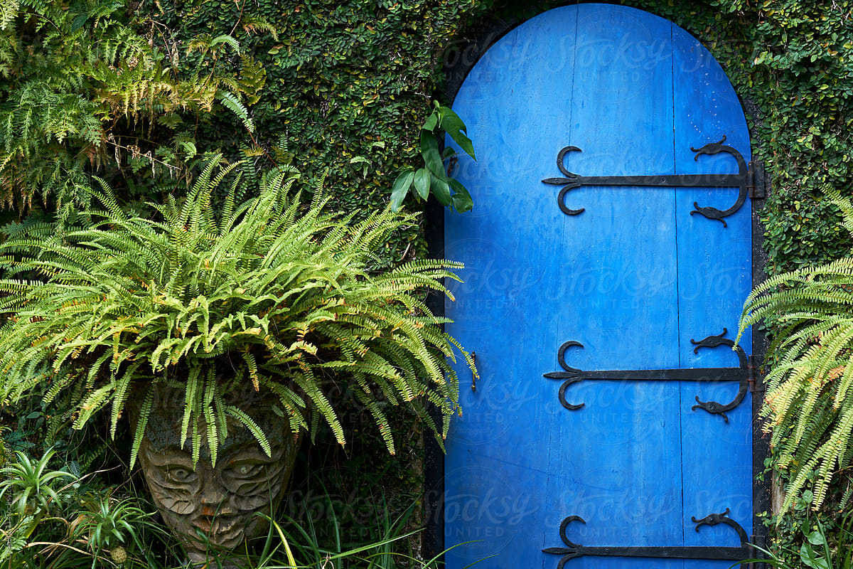 The fairy tale blue door in the rainforest, beautiful scenery in Sri Lanka.