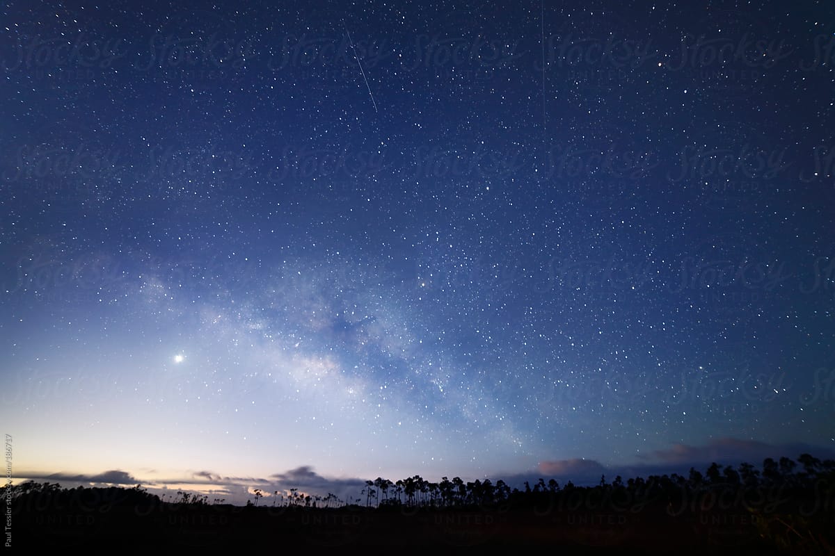 Night Sky over Everglades National Park