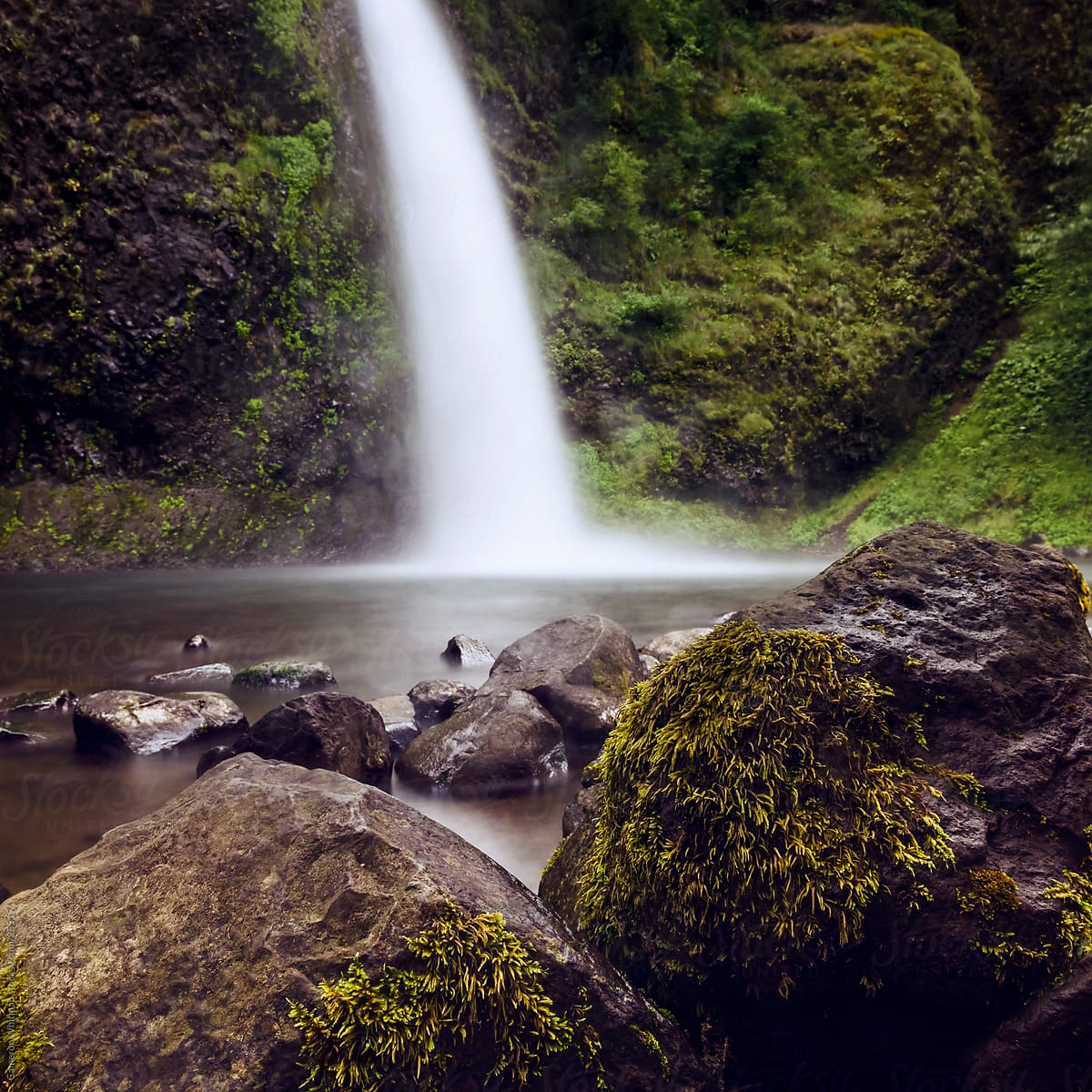 Horsetail Falls, Columbia River Gorge, Oregon