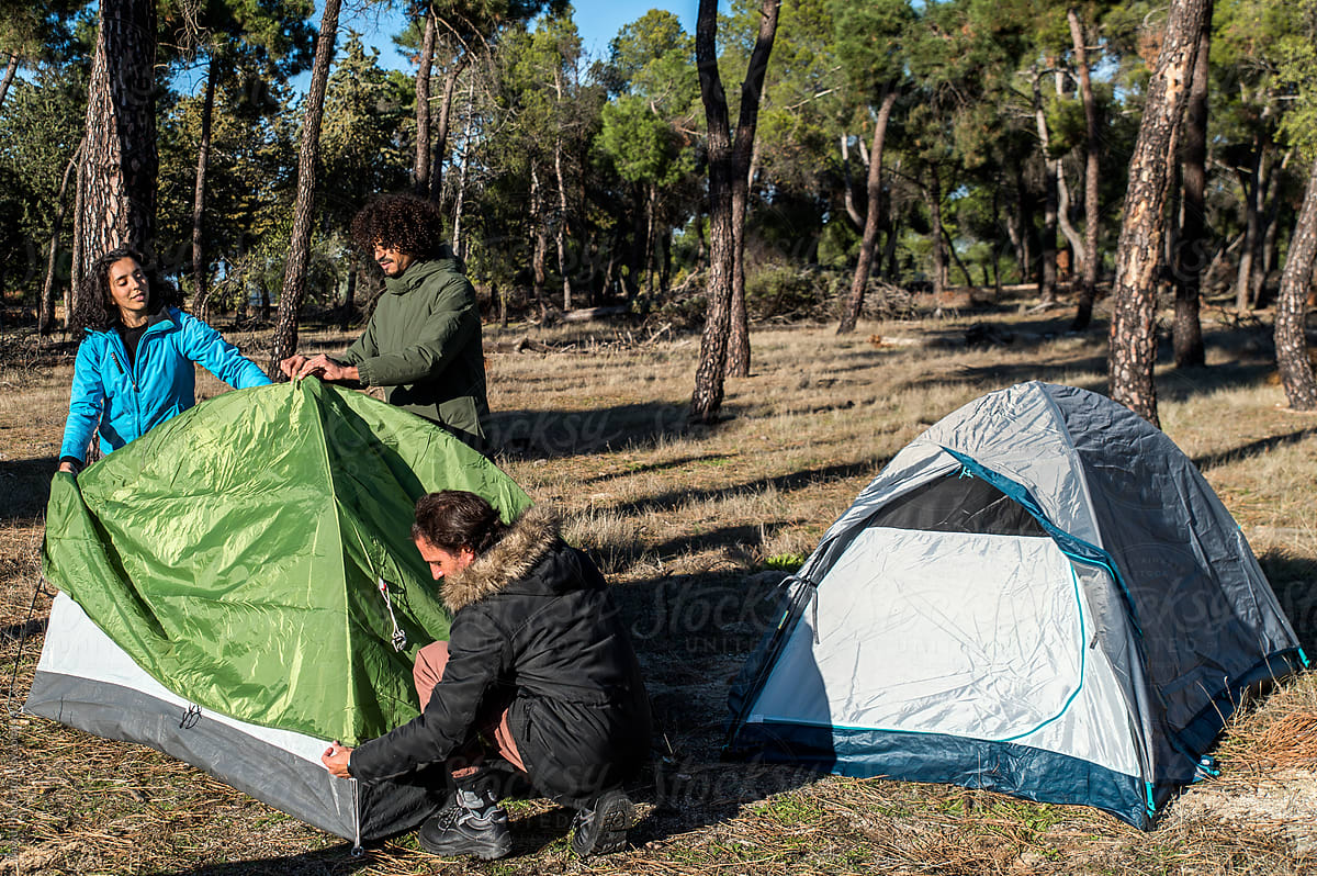 Hikers setting up tent in forest