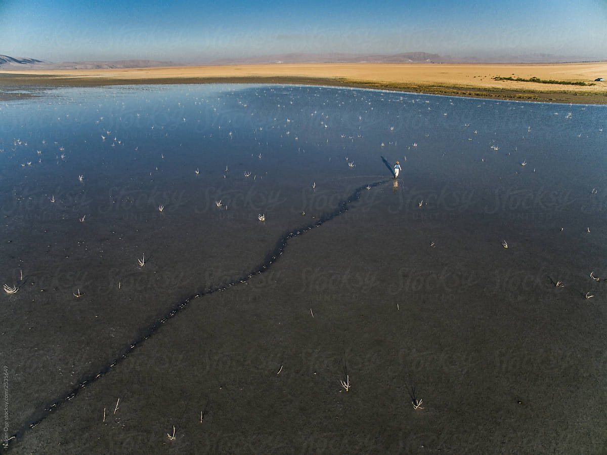 Footprints in drying lake