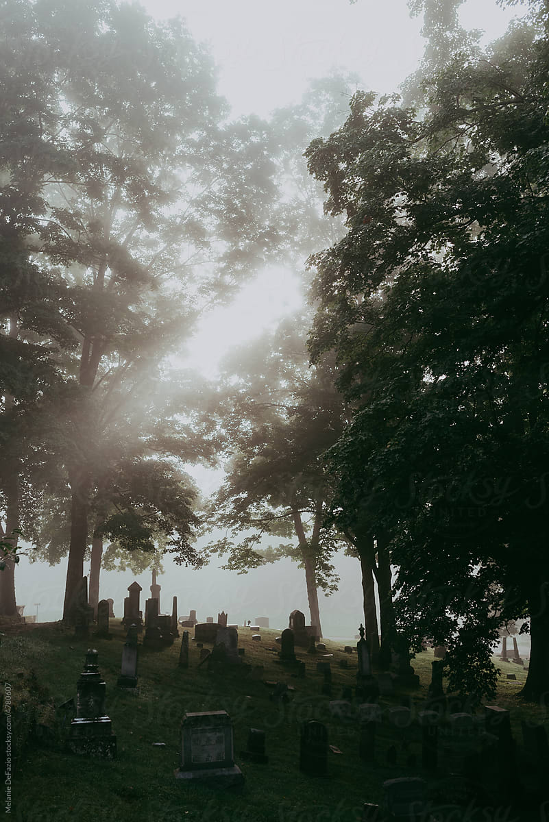 A foggy cemetery