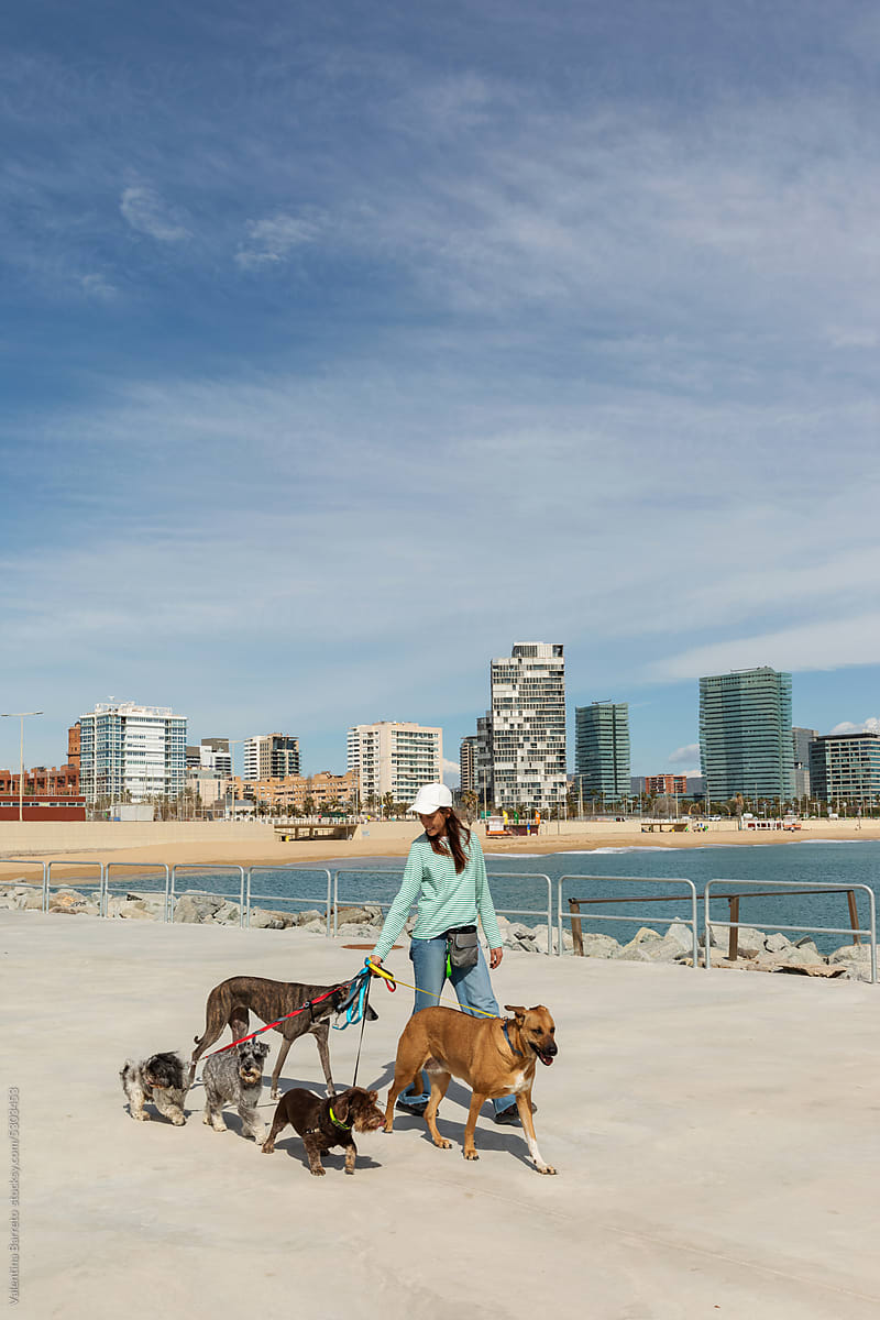 Woman walking dogs by the sea walk