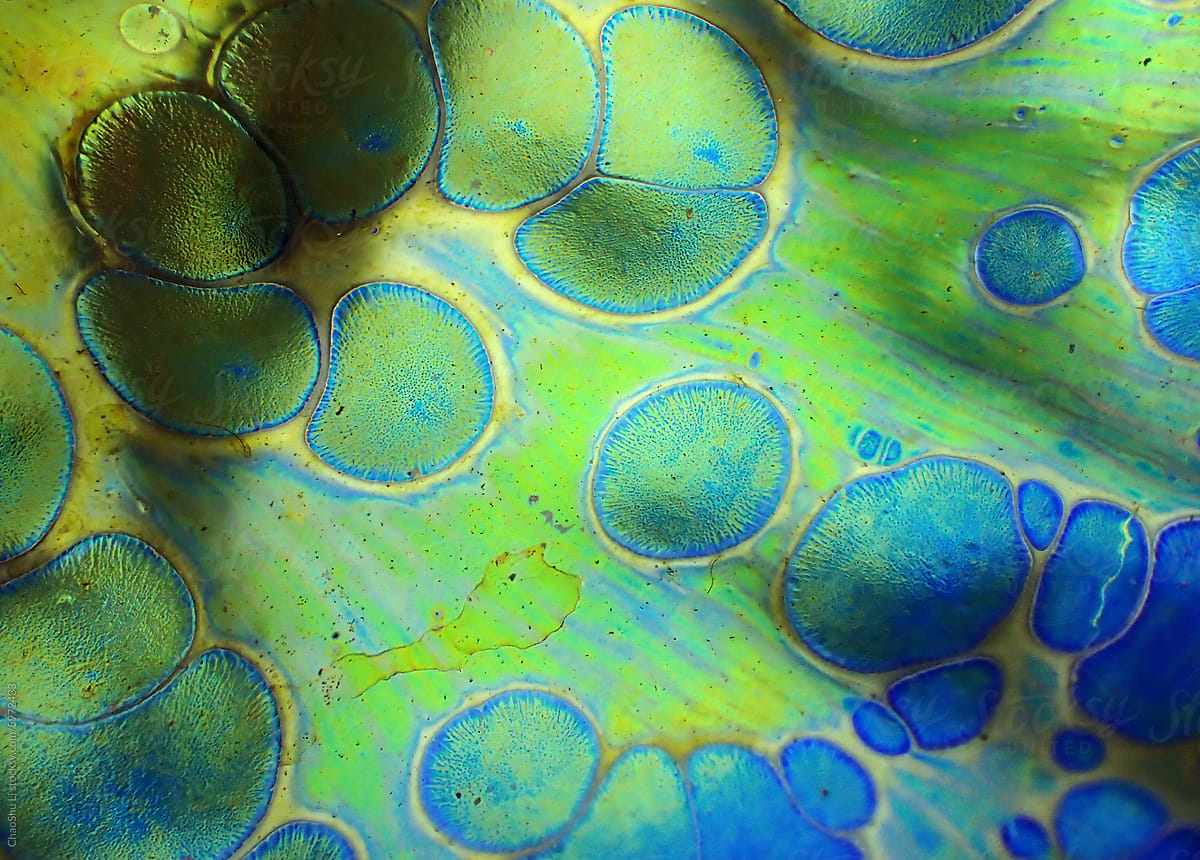 Textured background of microscopic glaze of Chinese ceramics tea cup
