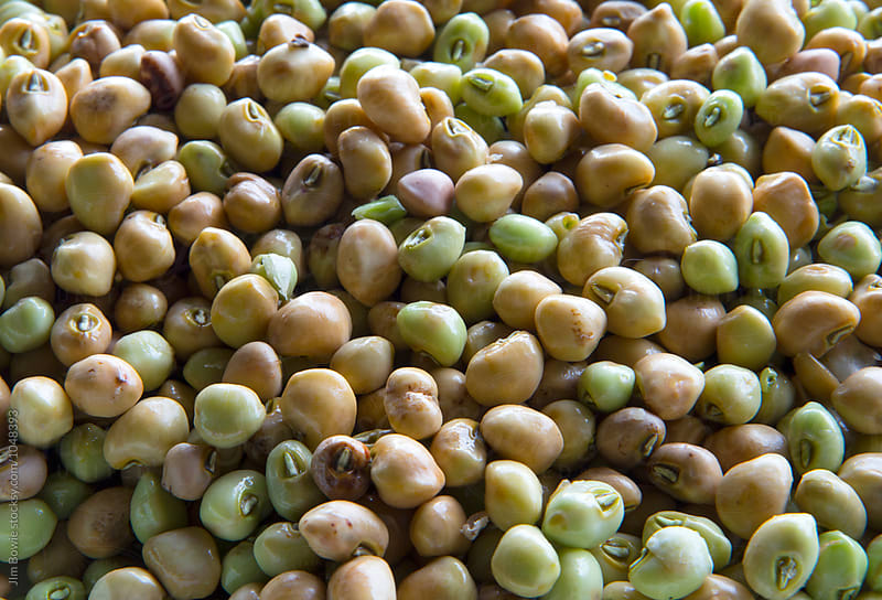 Field of Peas