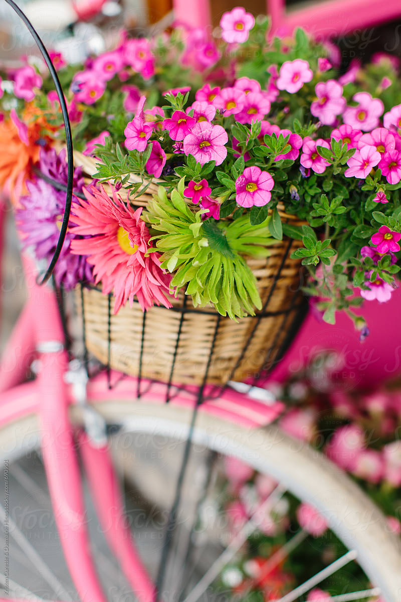 Detail of a pink painted bicycle with a basket with flowers and leaves
