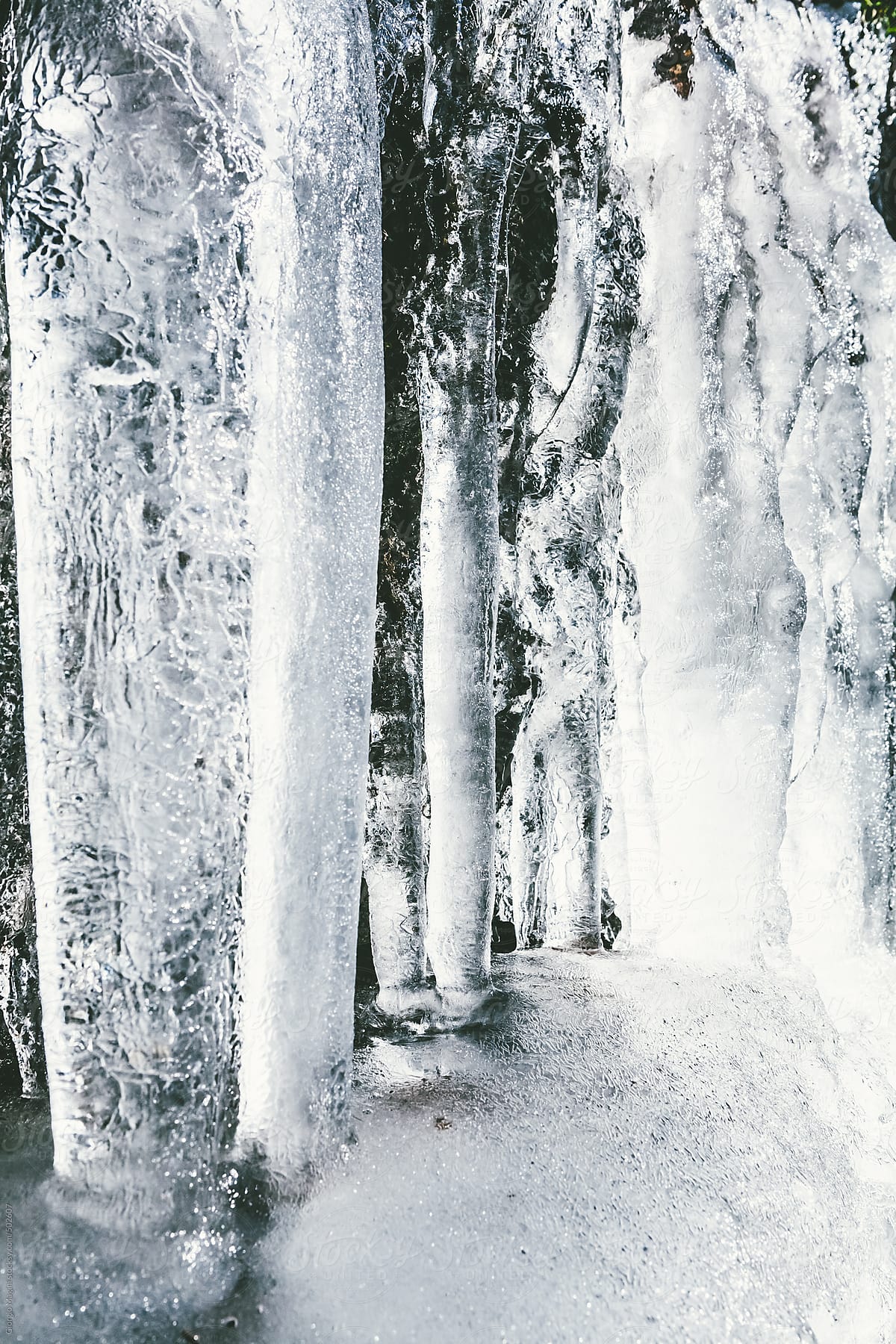Frozen Icicles Closeup, Winter Season
