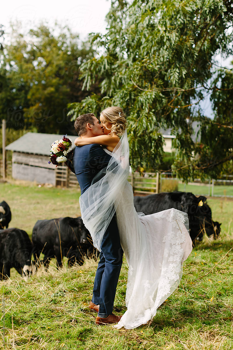 Wedding Couple Twirling at in Farmyard with Cattle