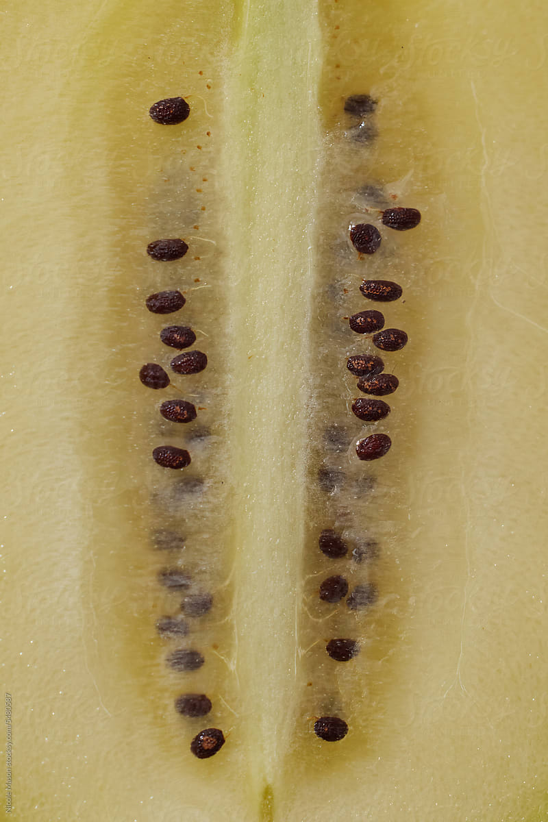 Kiwi Slice and Seeds in Macro Detail