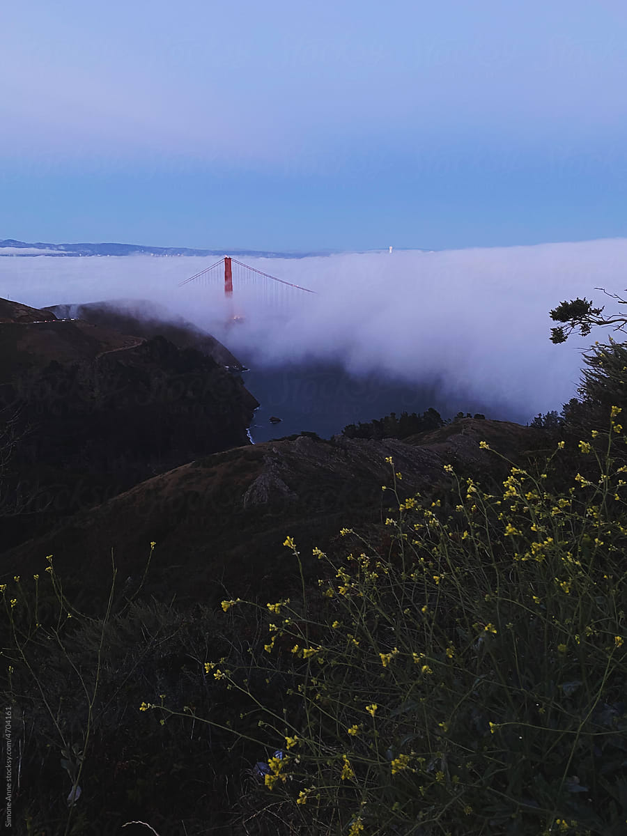 The Golden Gate Bridge plays peek-a-boo with the fog