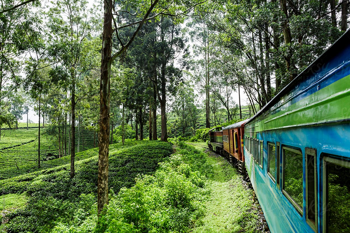 Train from Ella to Kandy in Sri Lanka
