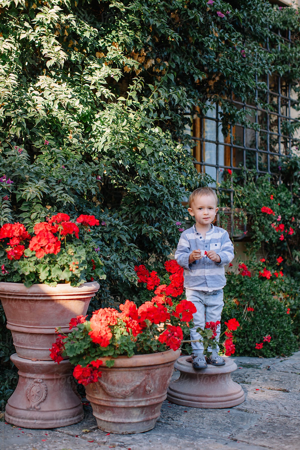 Little boy posing among the flowers pots
