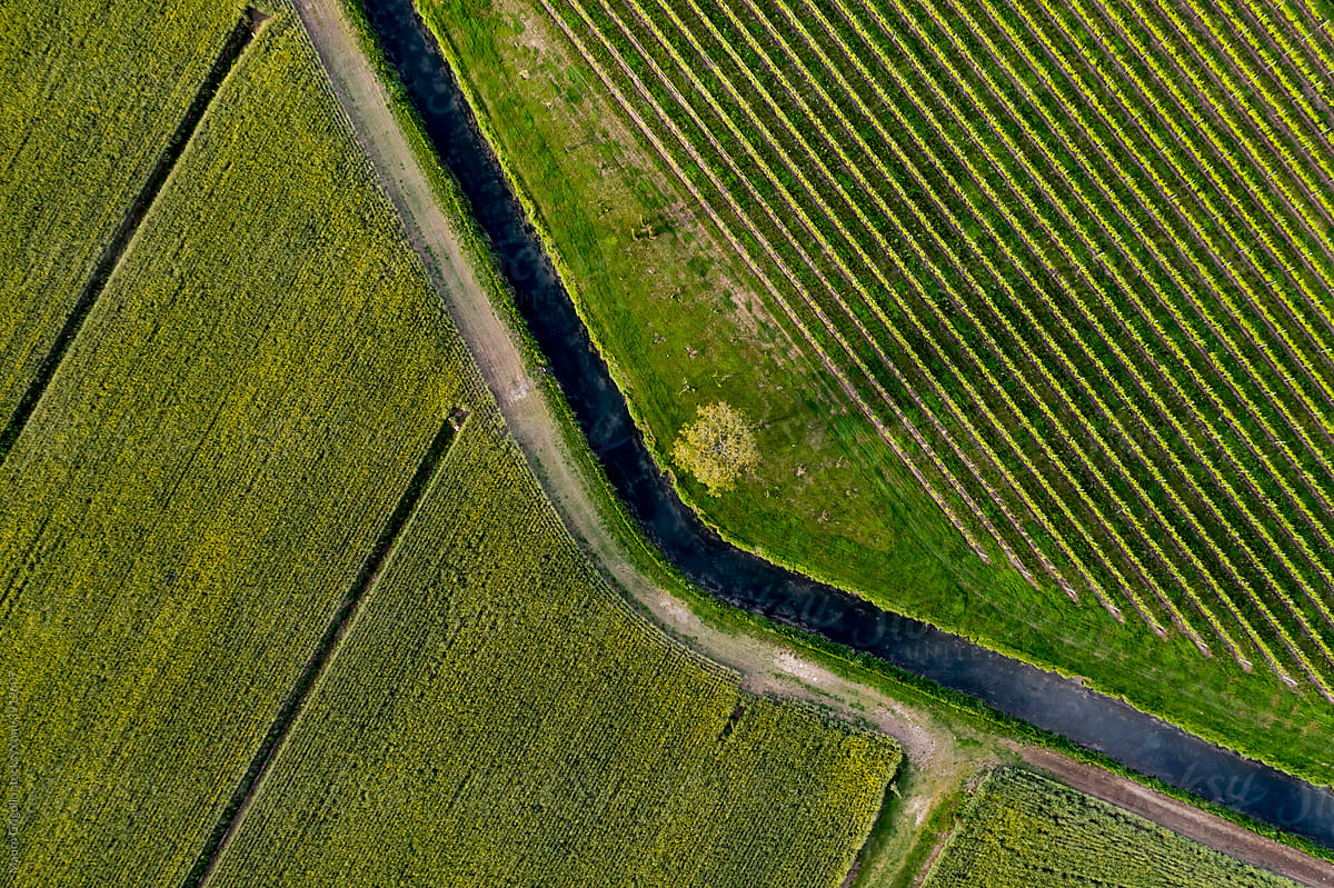 Drone view of cultivated fields and a river