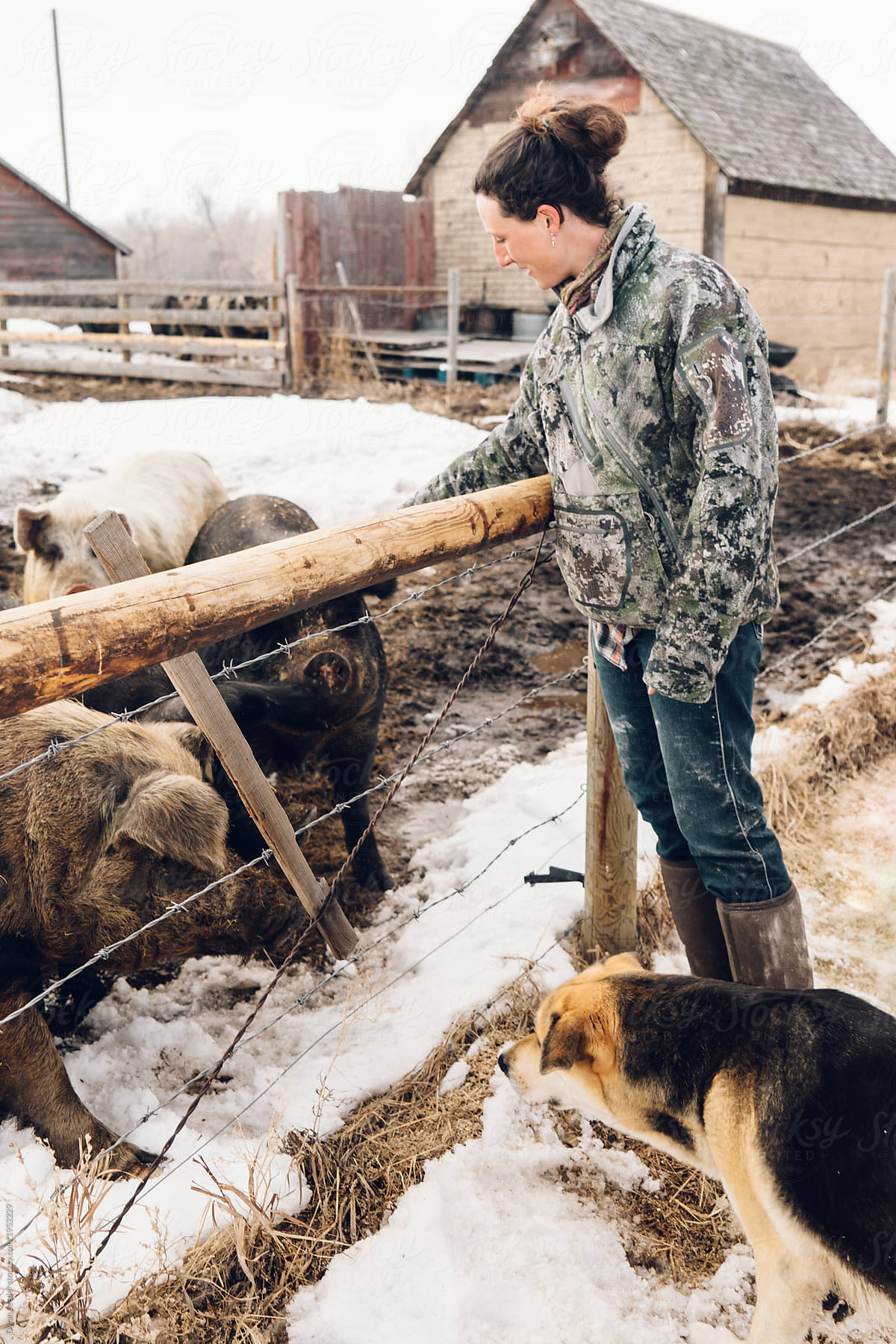 Female Farmer Pets Pig With Dog