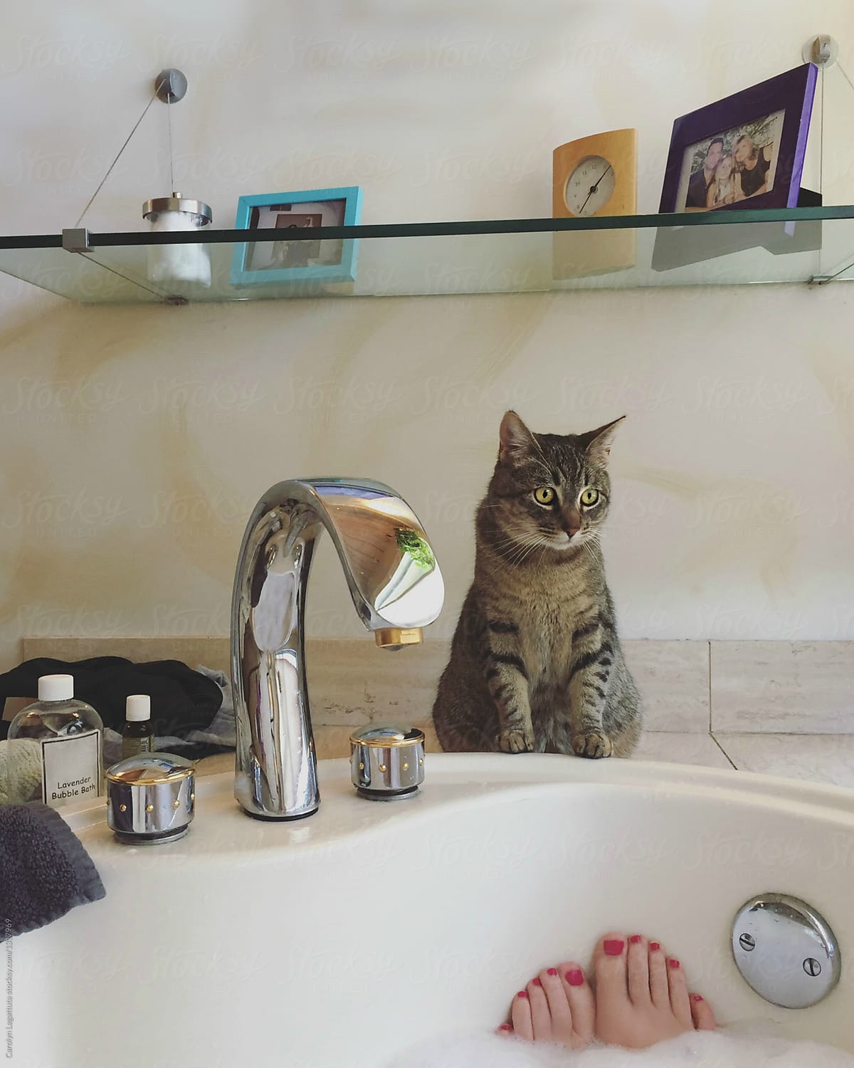Woman taking a bubble bath with her cat watching