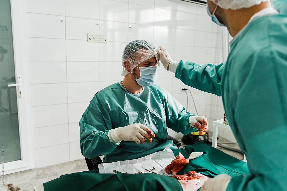 Veterinarian taking surgery  of an animal  in clinic