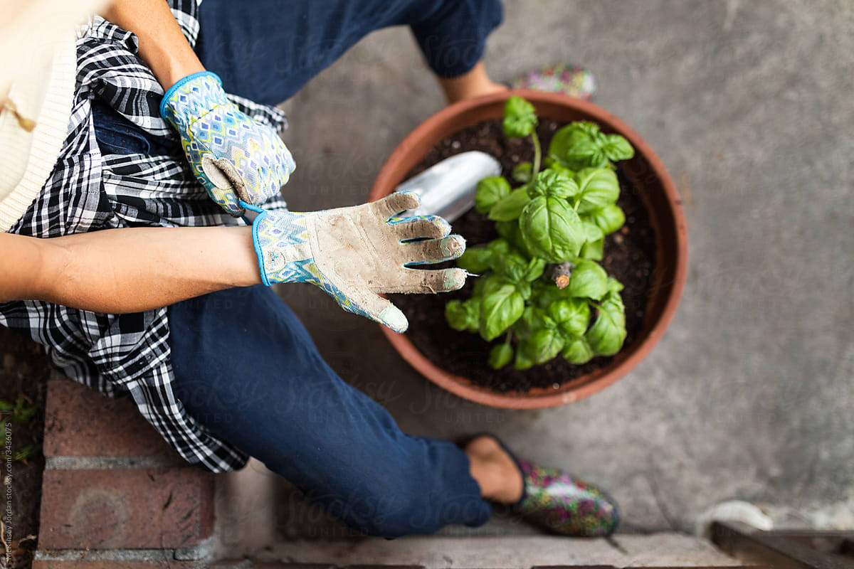 Woman Putting on Gloves While Gardening