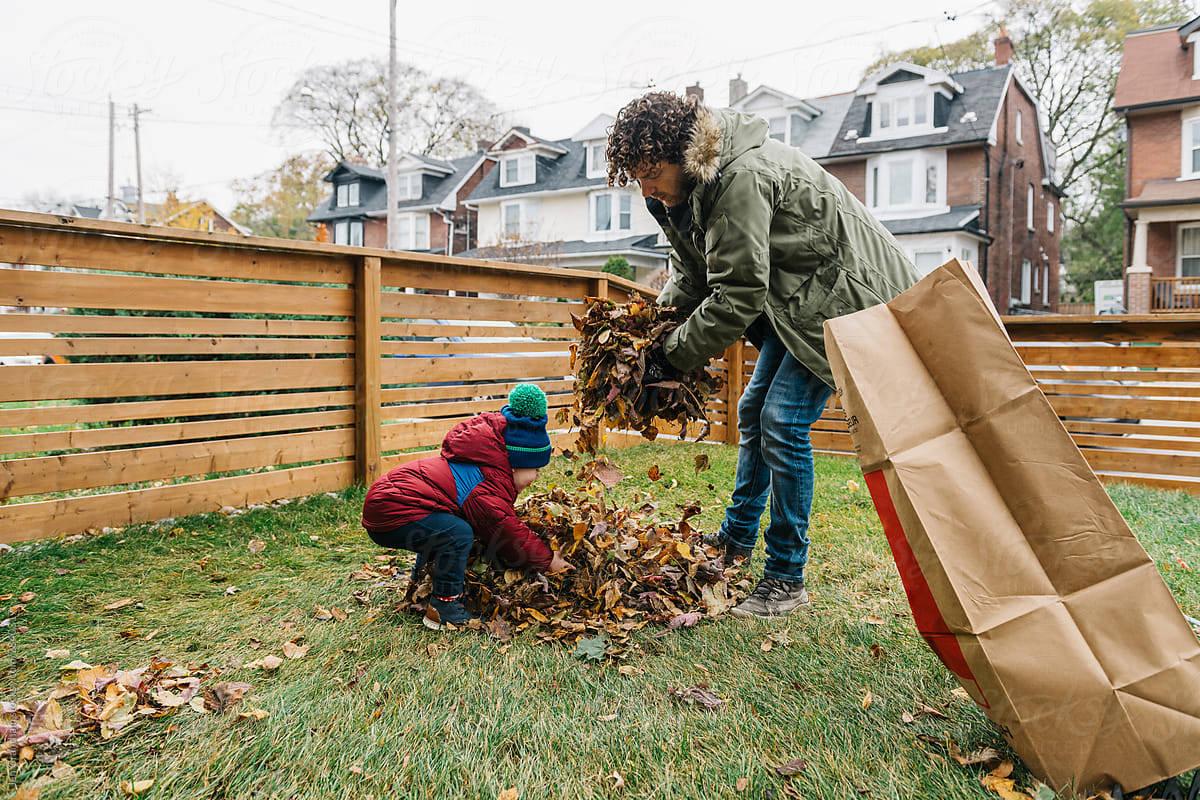 Yard waste Images - Search Images on Everypixel