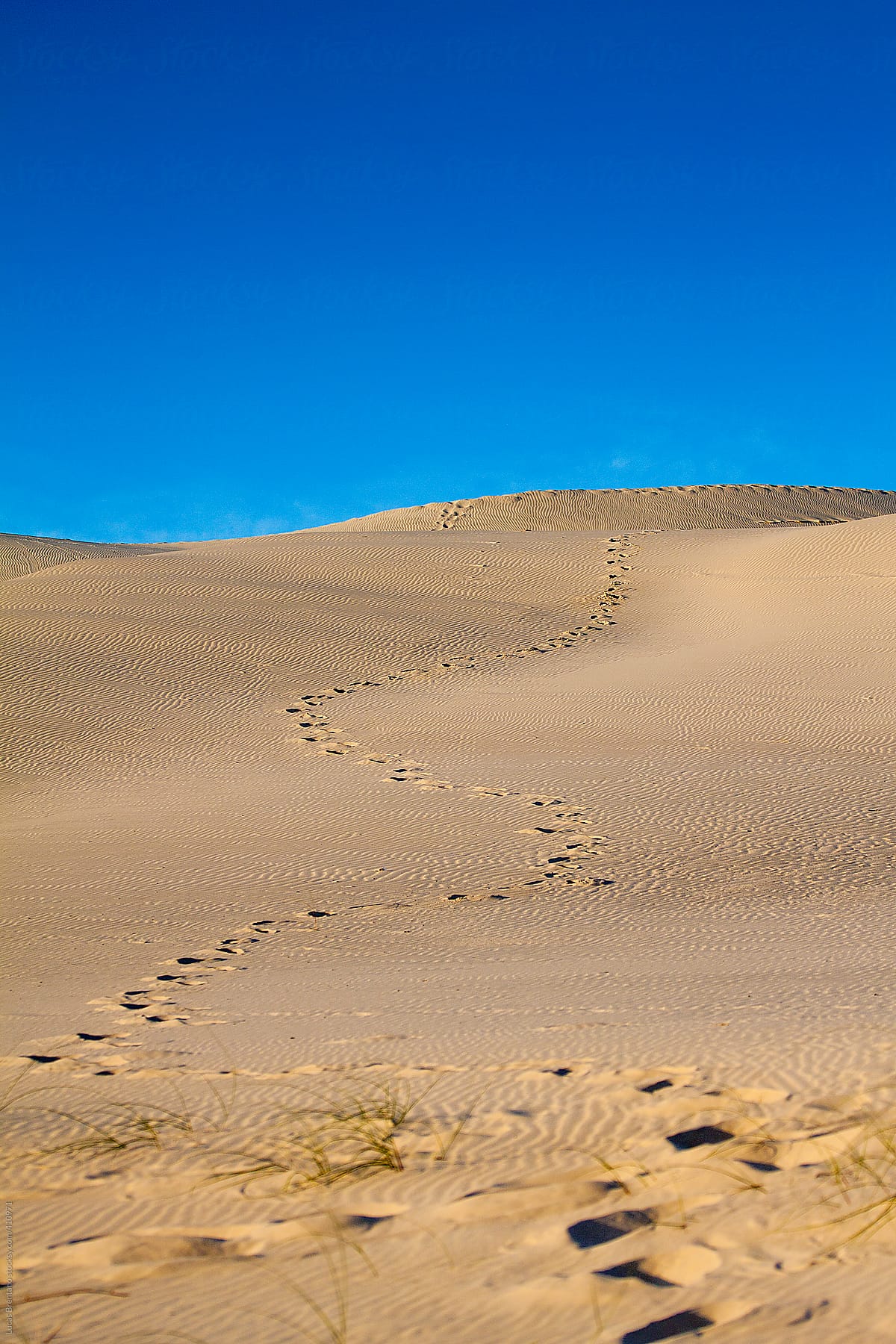 Footprints on Joaquina Beach Sand dunes.