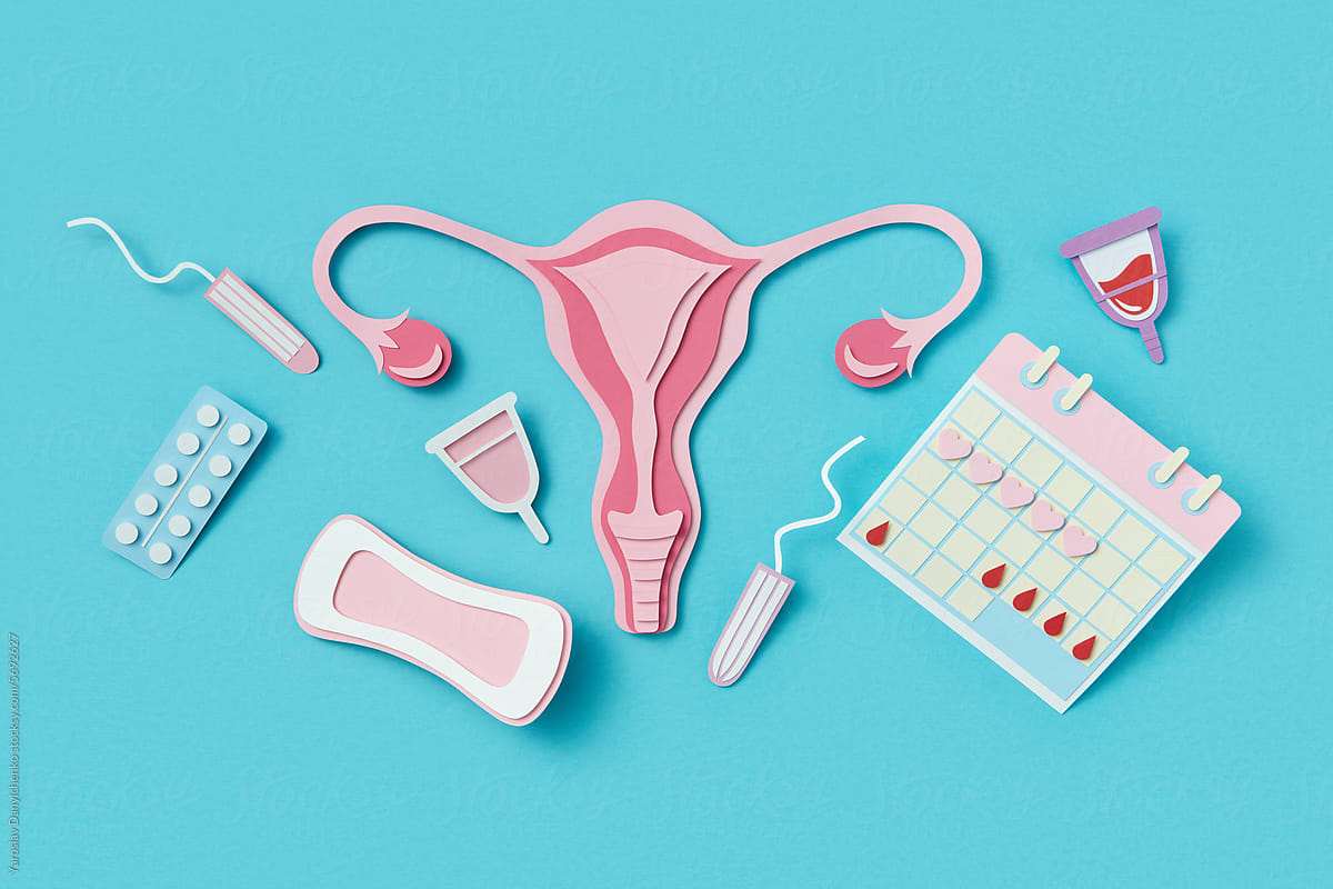Paper female uterus with calendar and various menstrual care items