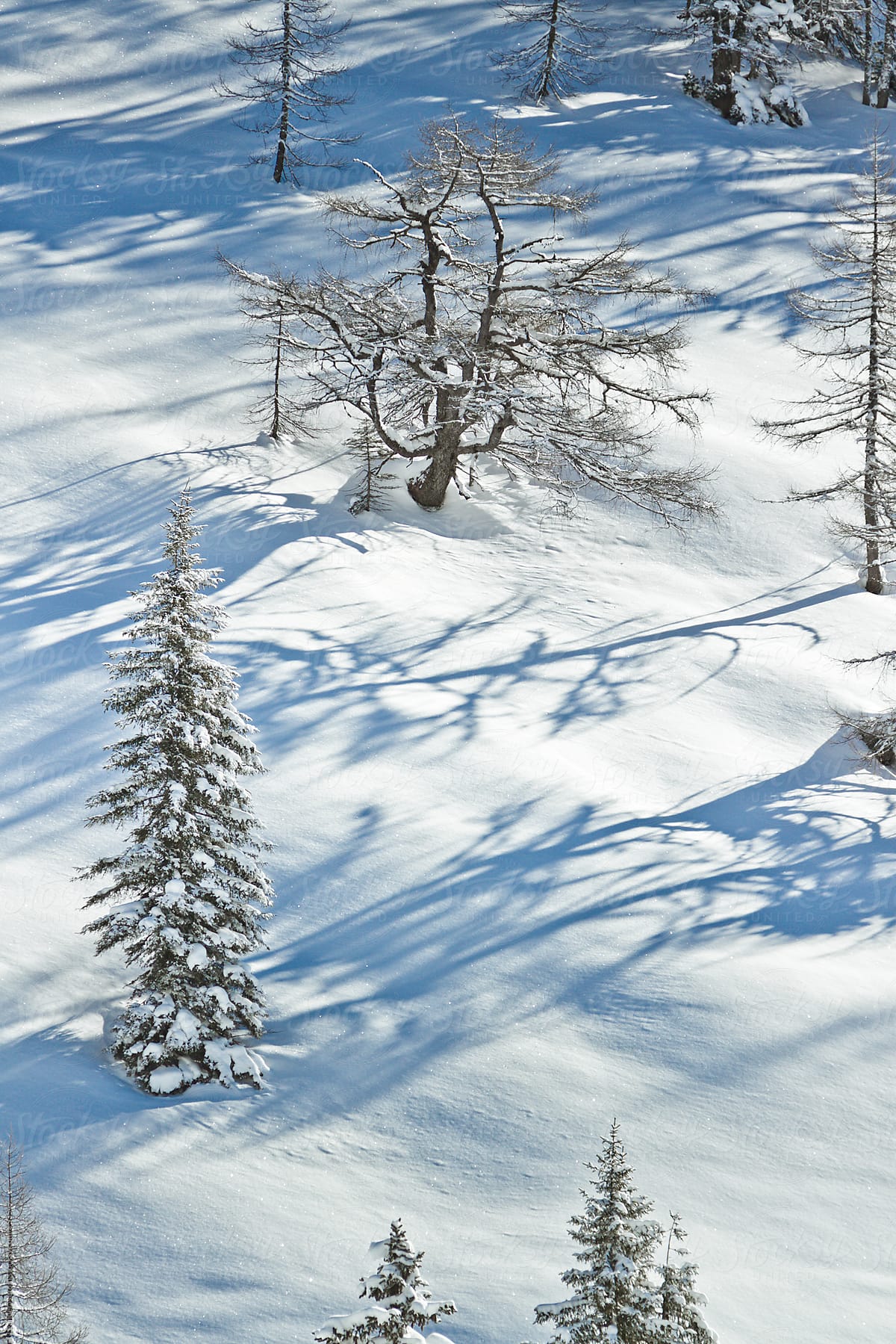 snowcovered winter landscape