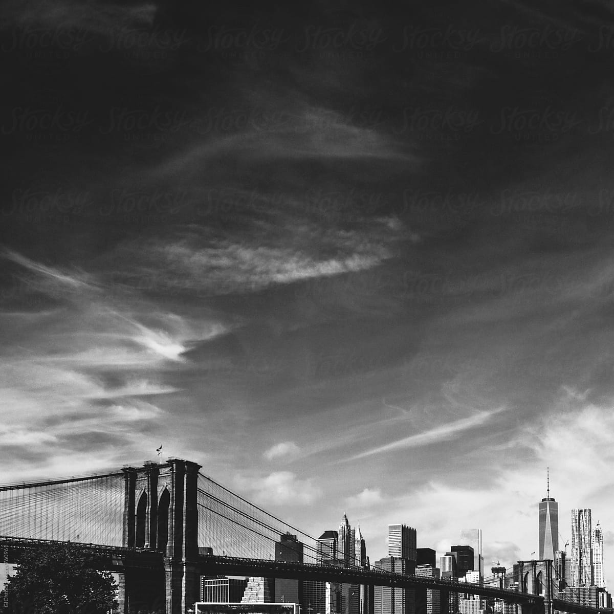 NY skyline black and white