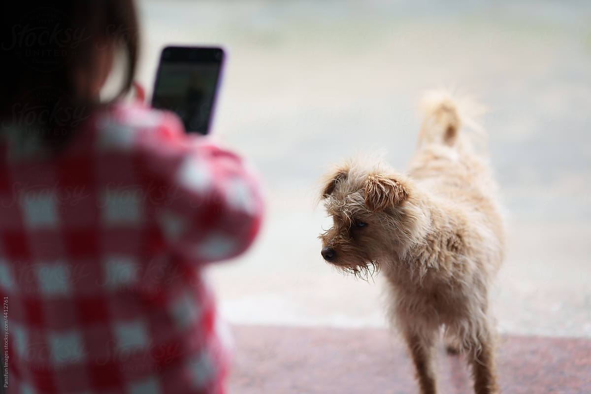 child taking pictures of puppy using a  cell phone