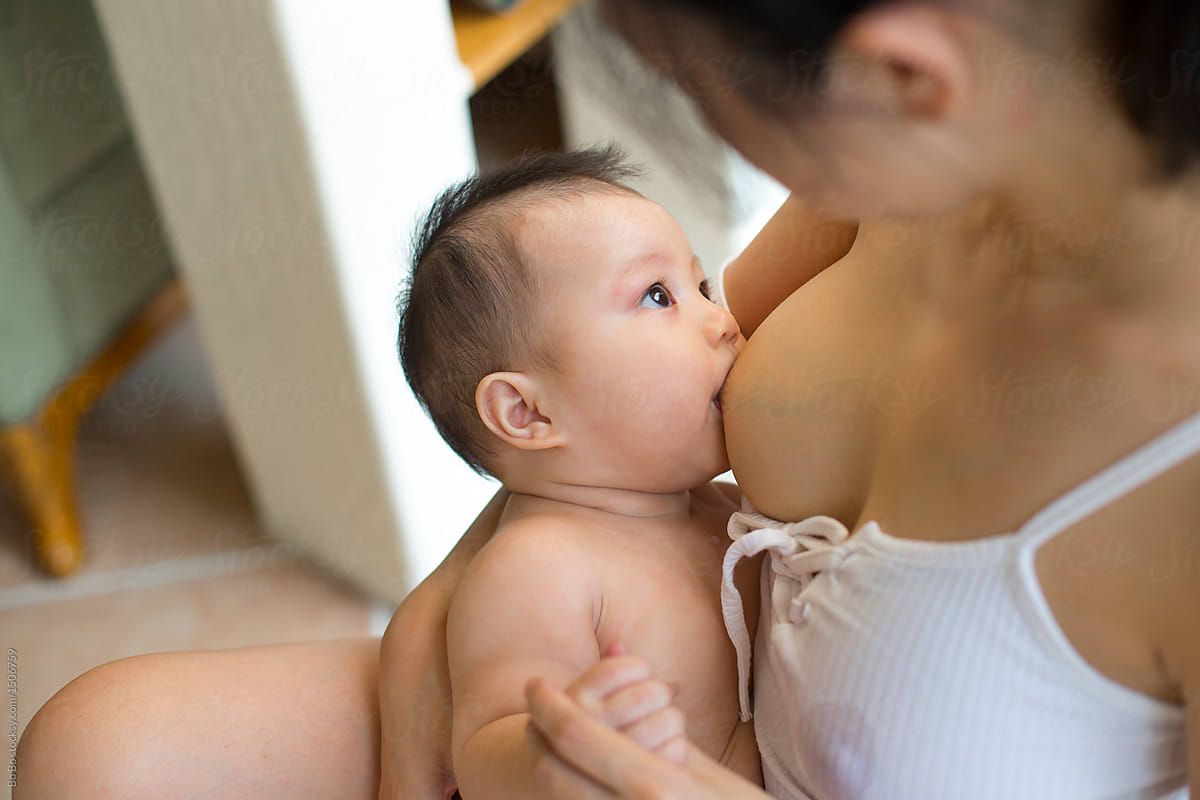Japanese Wife Breasts Feeding Husband Gogo Galery Tv