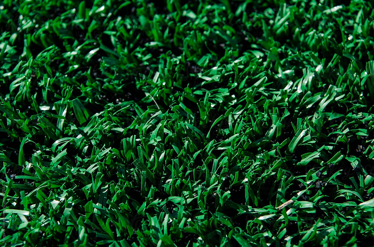 fake grass, up close