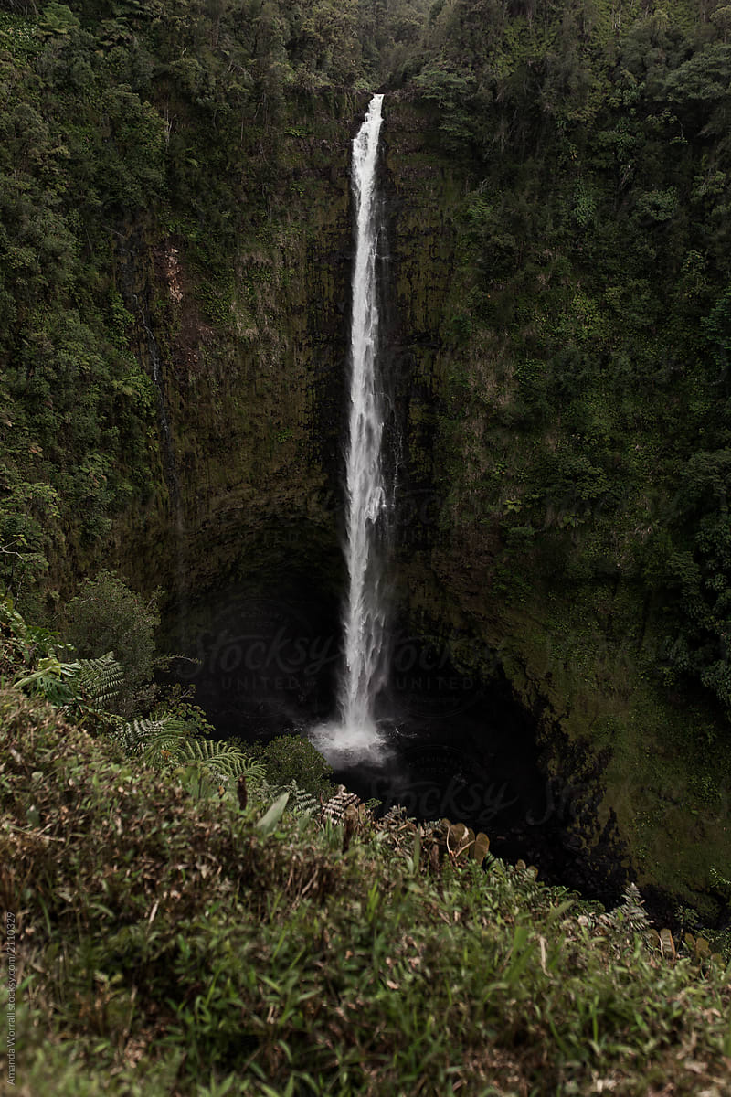Akaka Falls- Hilo, Hawaii