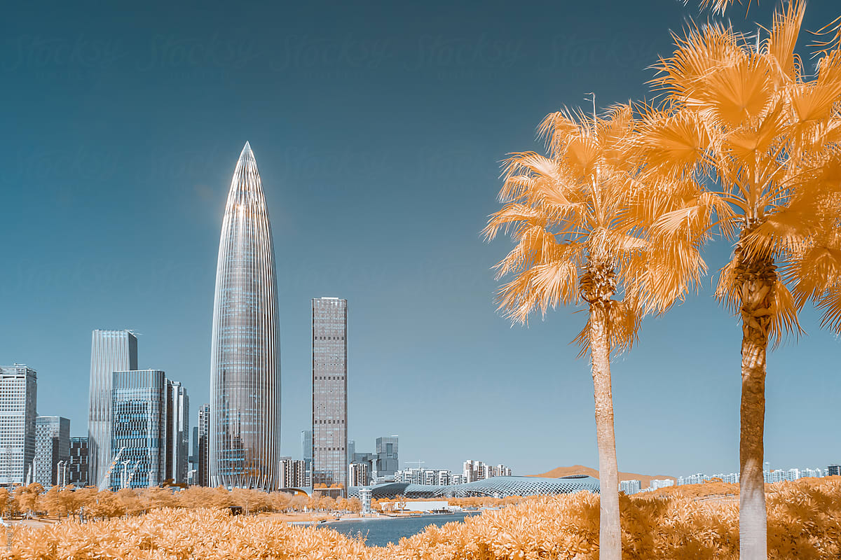 Infrared photography of palm trees with cityscape