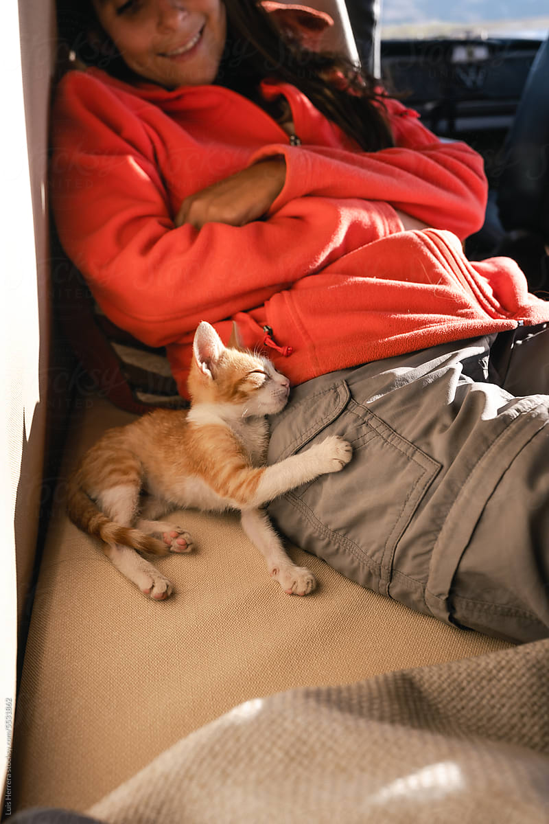 adorable orange kitten lying down with his female owner