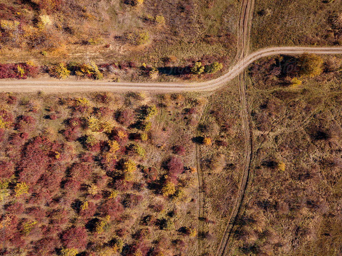Top view to dirt road through autumn colors woodland. Aerial vie