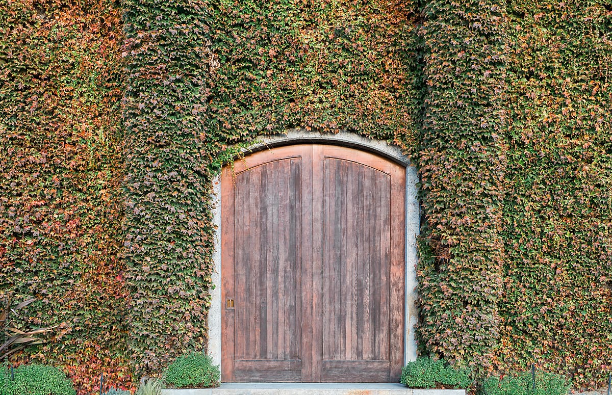 Rustic wood doors and overgrown vines