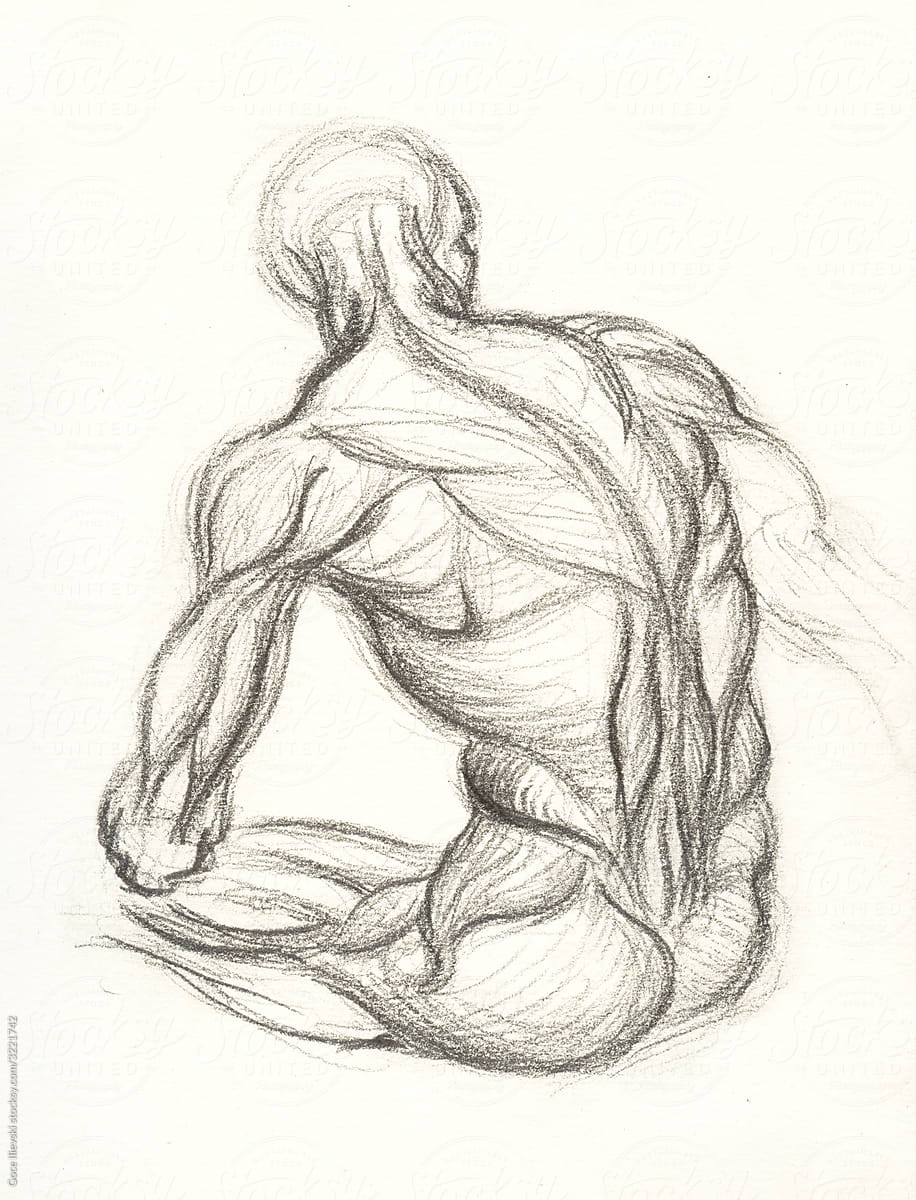Man Anatomy Drawing Muscles