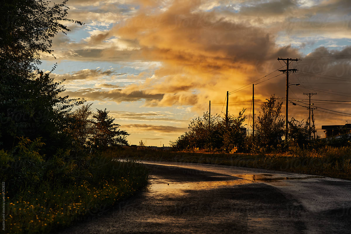 A rainy street at sunset