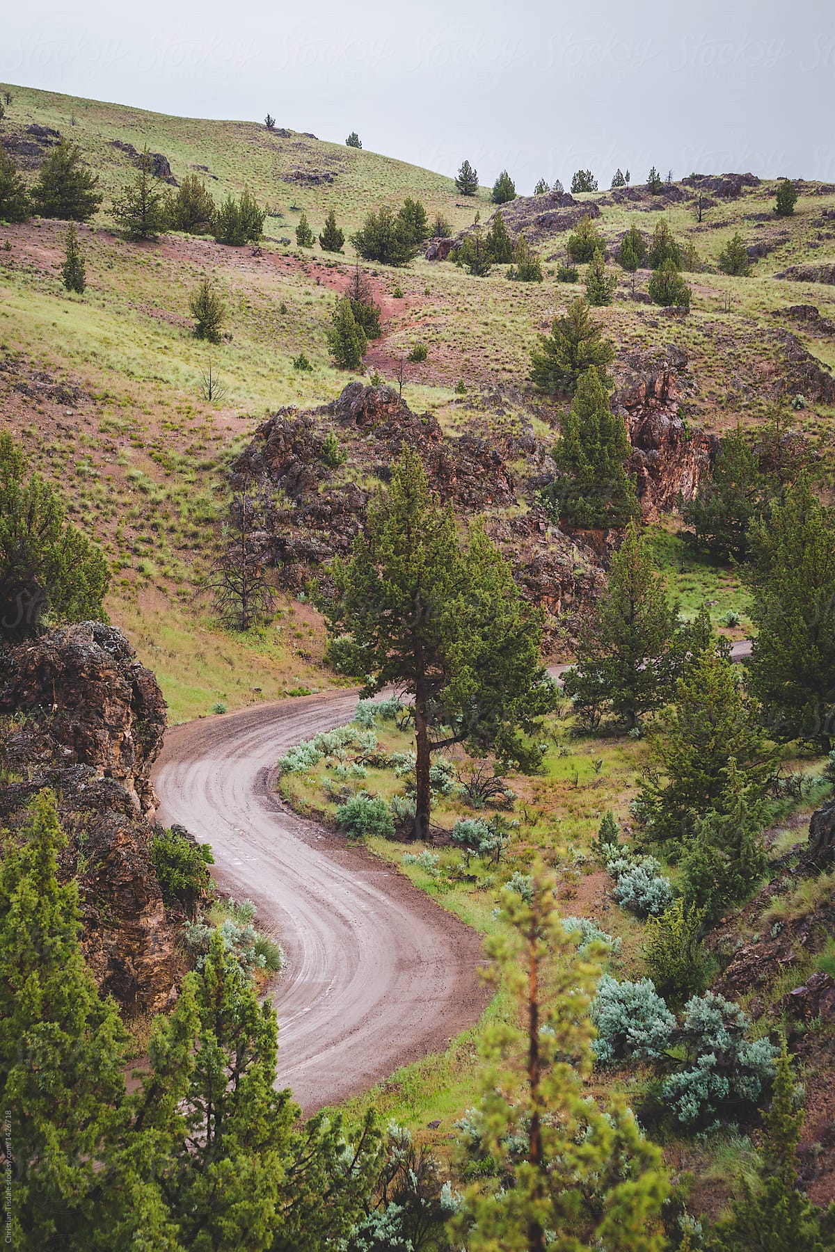 A winding dirt road in the country